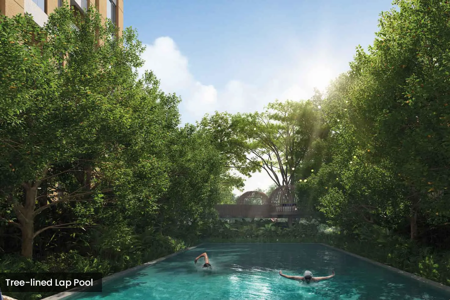 Tree line lap Pool