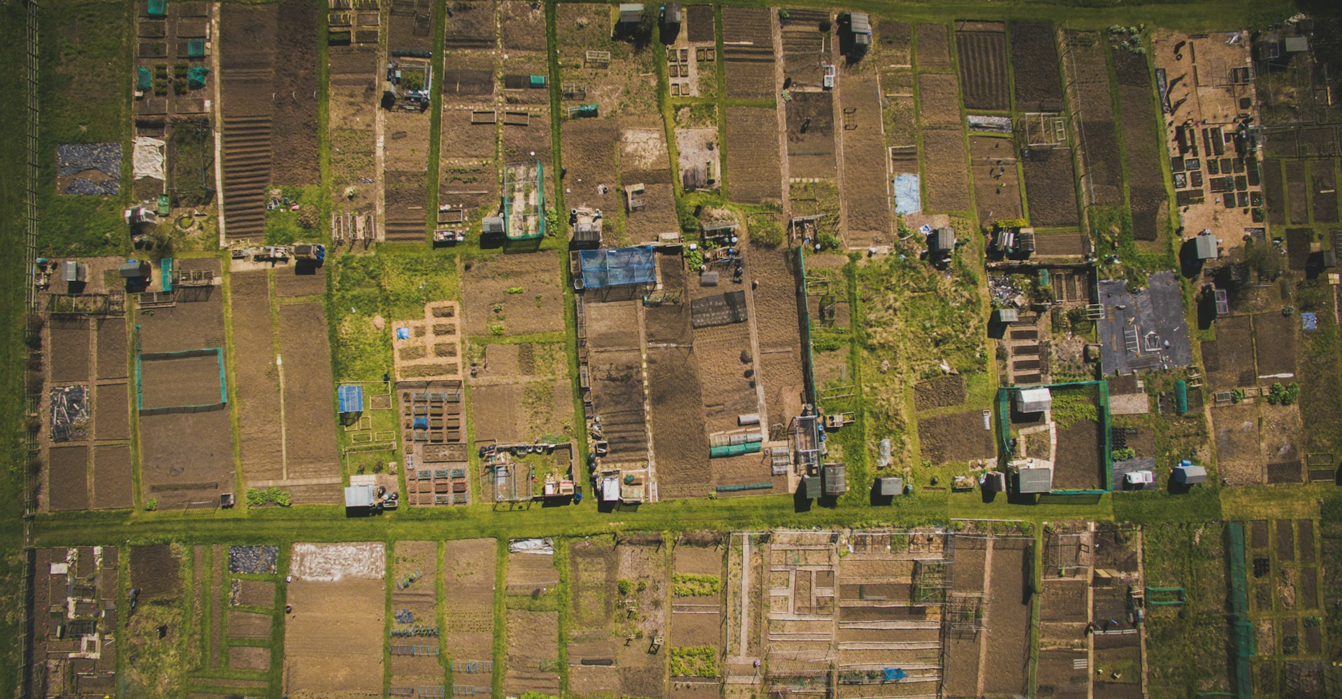 dan-roizer-ETAKnrWhbCs-unsplash