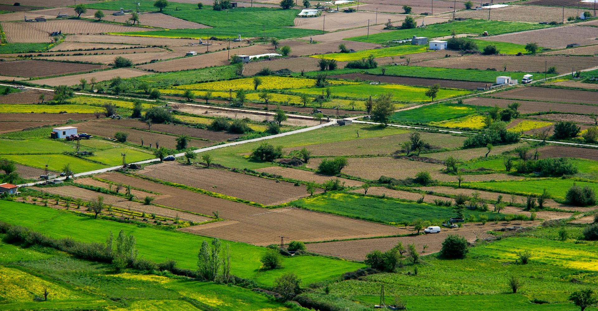 maria-krasnova-qD7tpy_VozY-unsplash